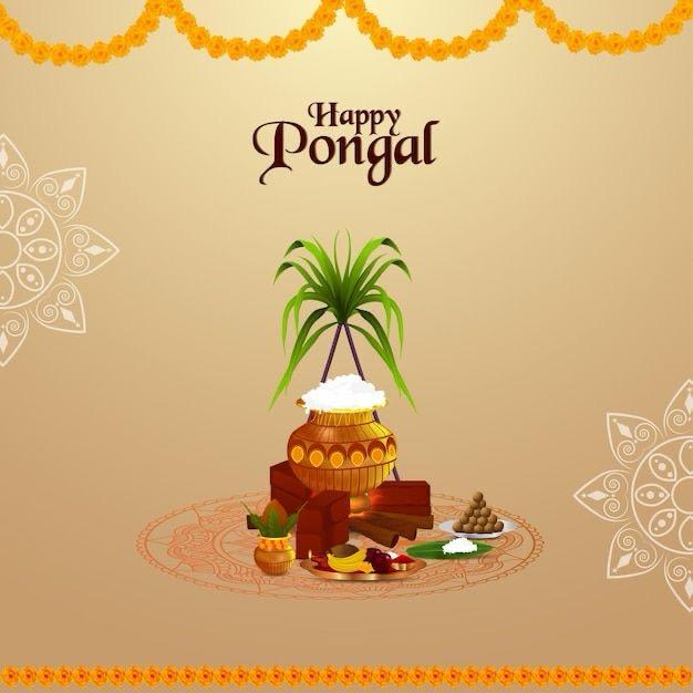 Pongal Greetings :